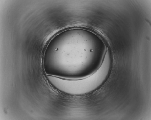 X0000103171316200809051713