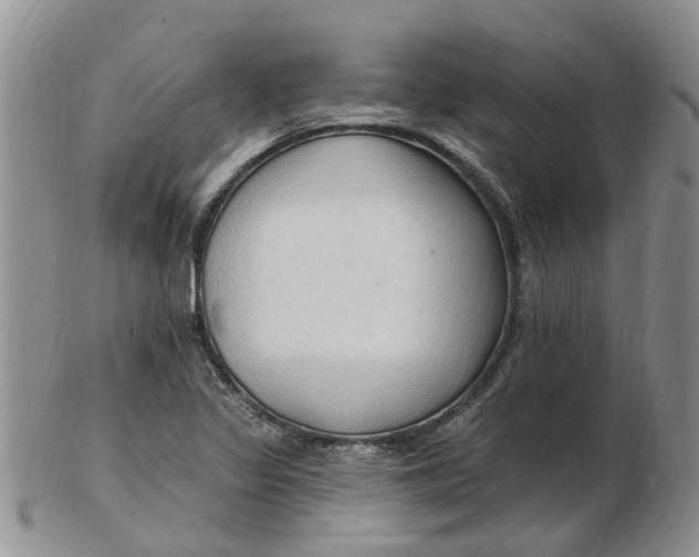 X0000103171317200809051713