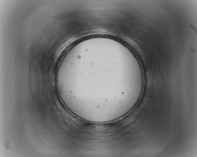 X0000103171318200809051713