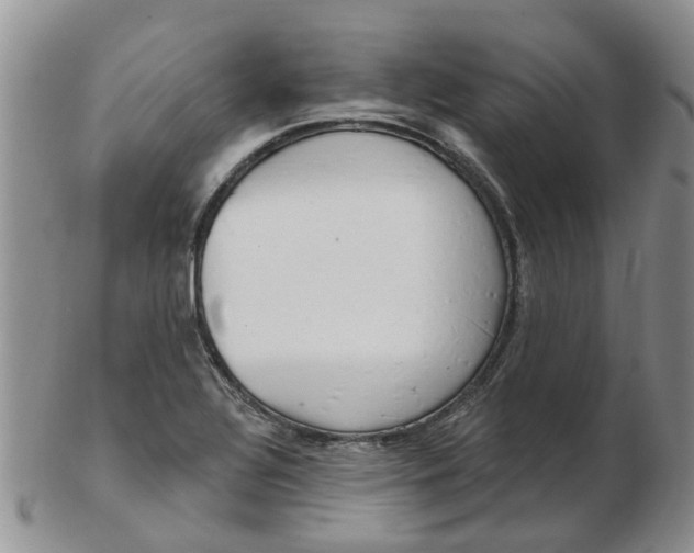 X0000103171320200809051713