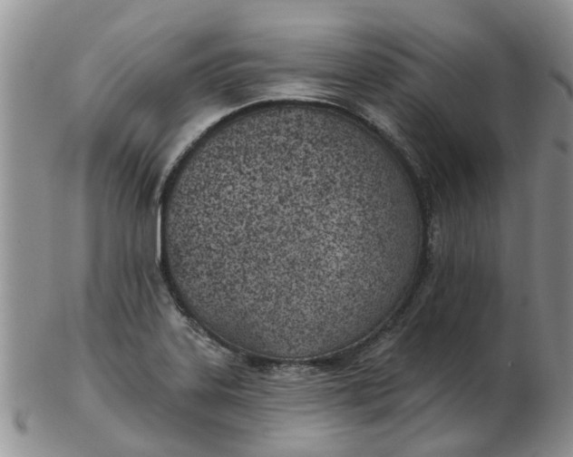 X0000103171323200809051713