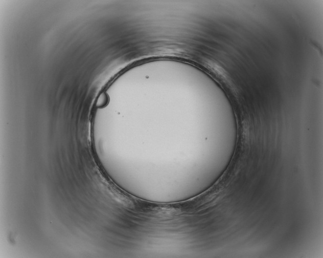 X0000103171324200809051713