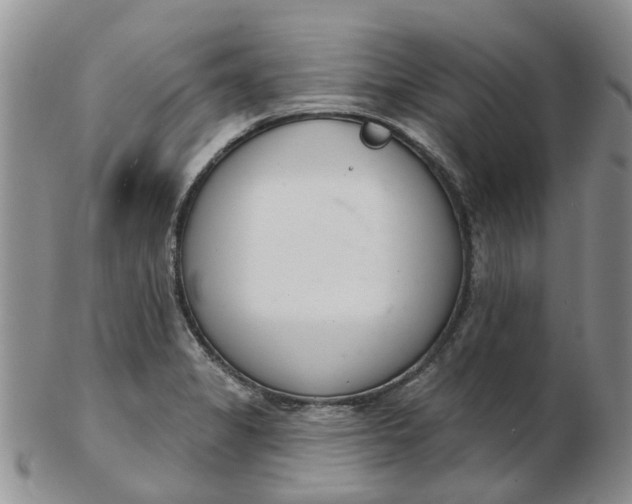 X0000103171325200809051713