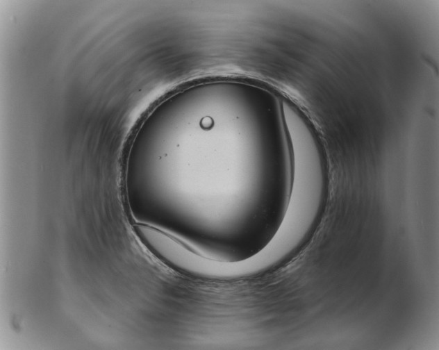 X0000103171326200809051713