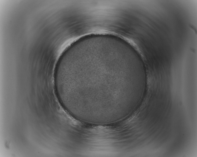 X0000103171327200809051713