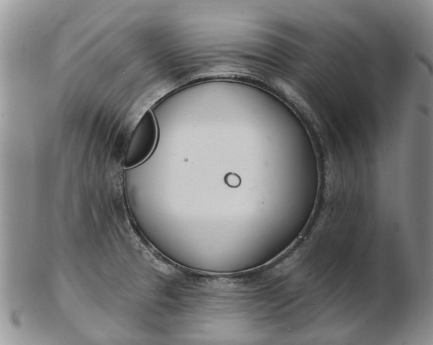 X0000103171329200809051713