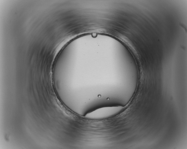 X0000103171332200809051713