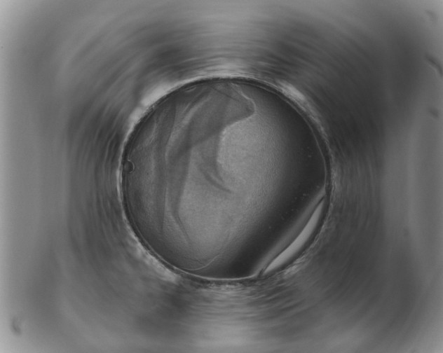 X0000103171334200809051713