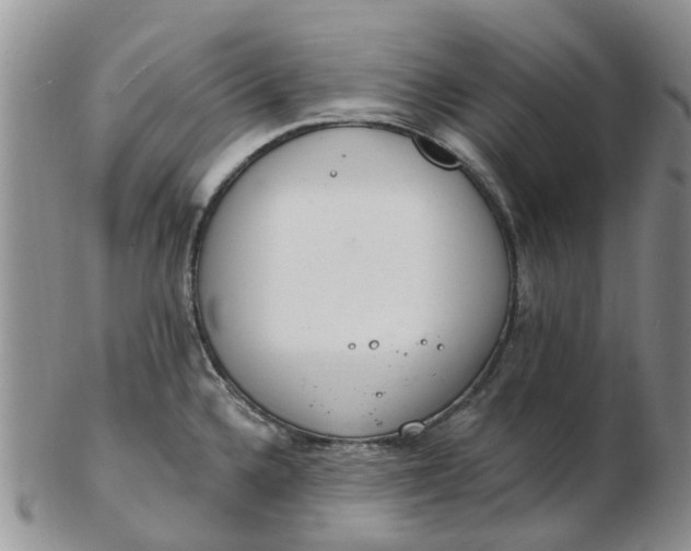 X0000103171336200809051713