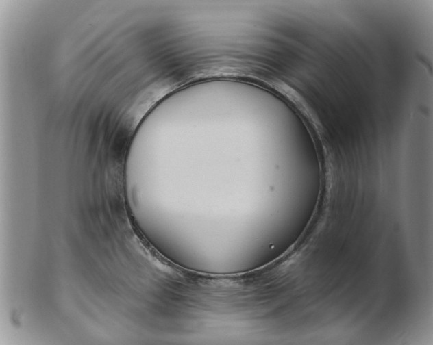 X0000103171337200809051713