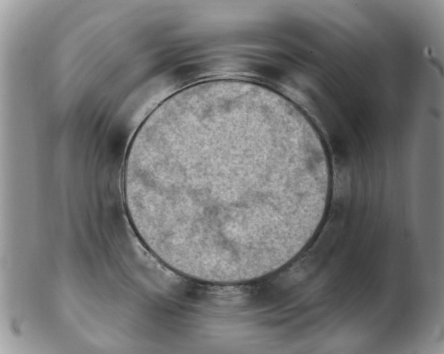 X0000103171338200809051713