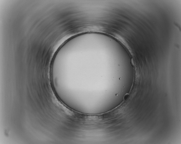 X0000103171339200809051713