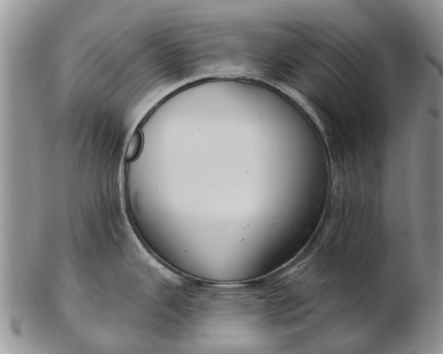 X0000103171343200809051713