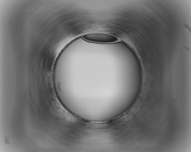 X0000103171344200809051713