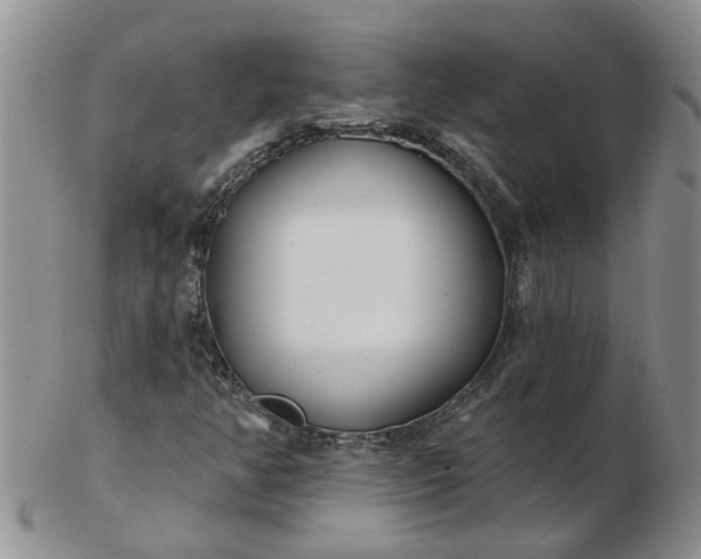 X0000103171350200809051713