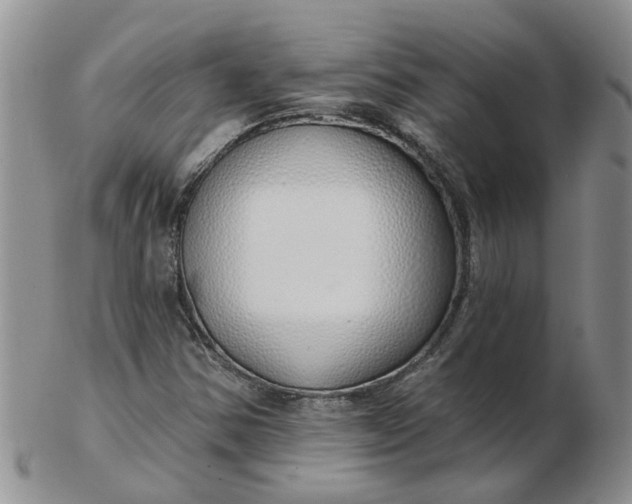 X0000103171354200809051712