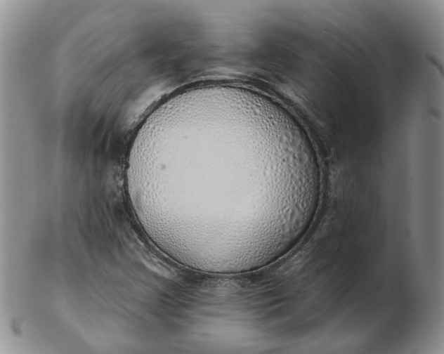 X0000103171355200809051712