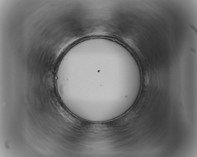 X0000103171356200809051712