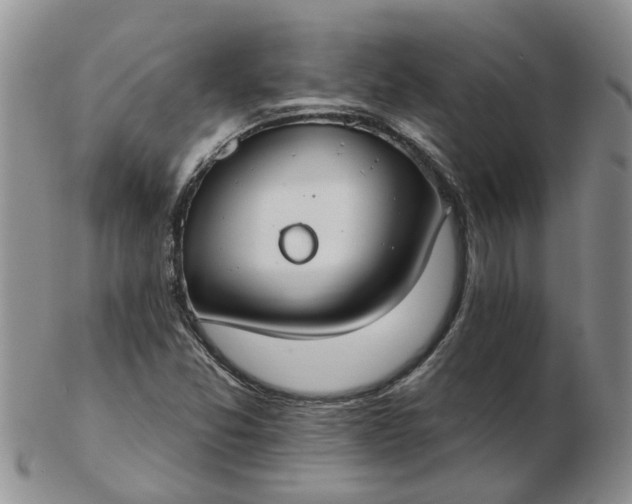 X0000103171357200809051712