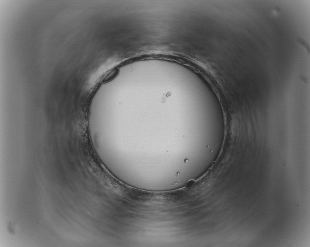 X0000103171359200809051712