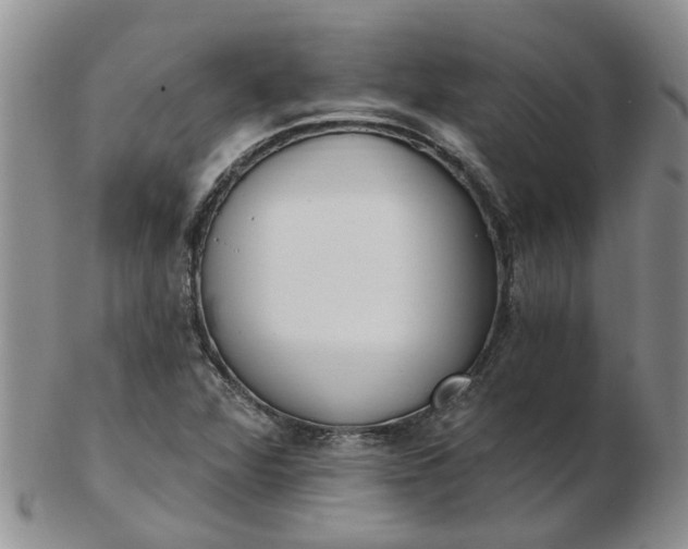 X0000103171360200809051712