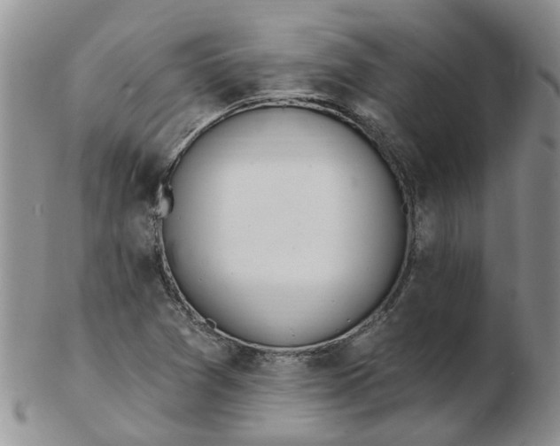 X0000103171361200809051712