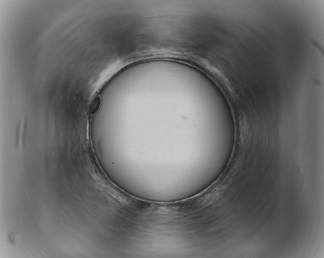 X0000103171365200809051712