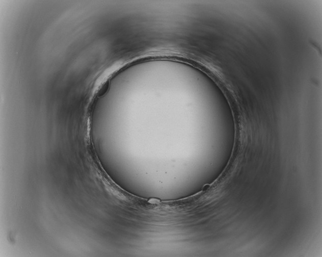 X0000103171366200809051712