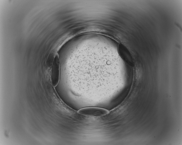 X0000103171369200809051712