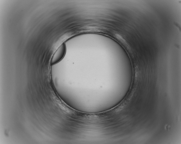 X0000103171370200809051712