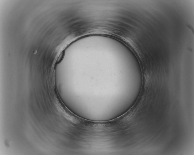 X0000103171371200809051712