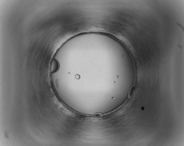 X0000103171374200809051712