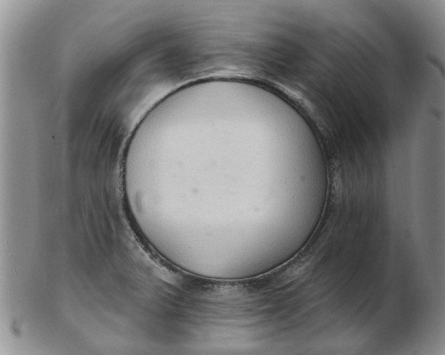 X0000103171375200809051712