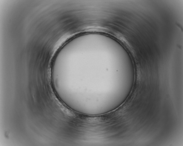 X0000103171376200809051712