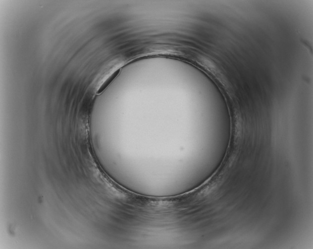 X0000103171377200809051712