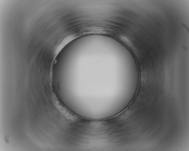 X0000103171378200809051712