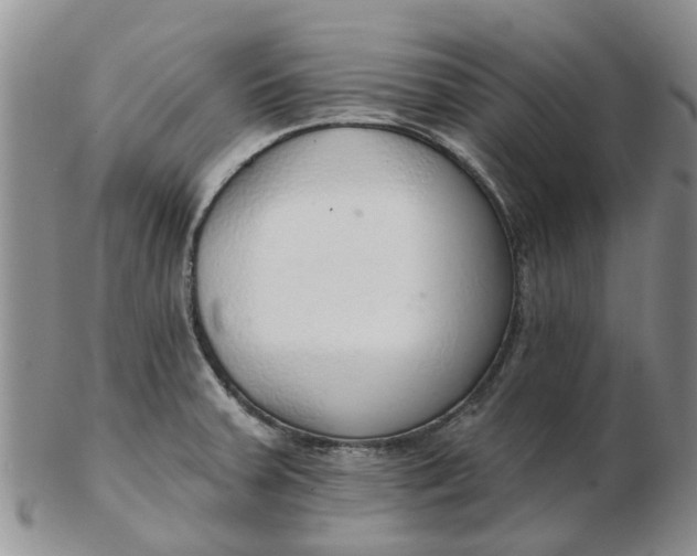 X0000103171379200809051712