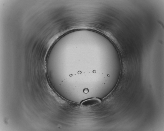 X0000103171380200809051712