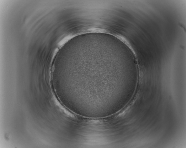 X0000103171381200809051712