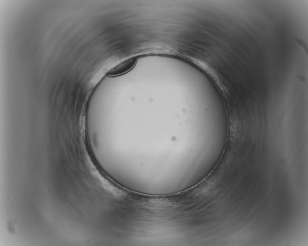 X0000103171383200809051712