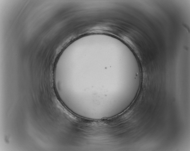 X0000103171384200809051712