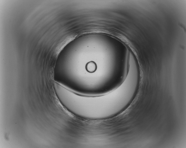 X0000103171385200809051712