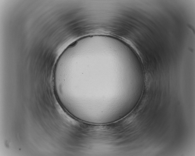 X0000103171387200809051712