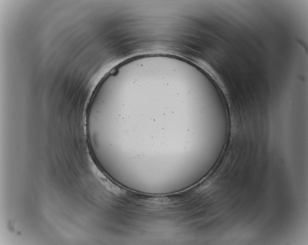 X0000103171388200809051712