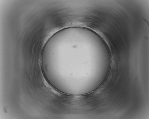 X0000103171390200809051712