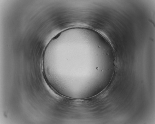 X0000103171391200809051712