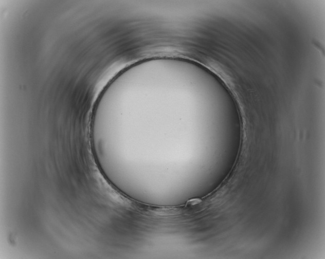 X0000103171392200809051712