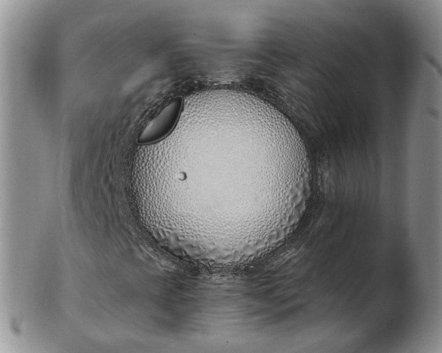 X0000103171393200809051711