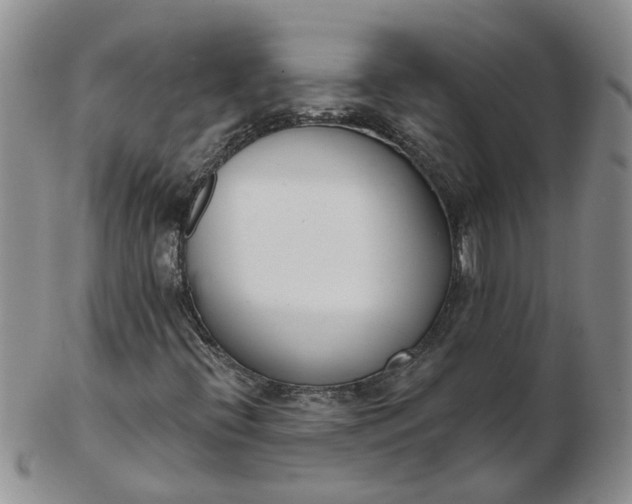 X0000103171396200809051711