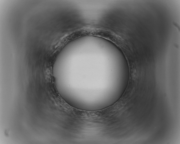 X0000103171397200809051711